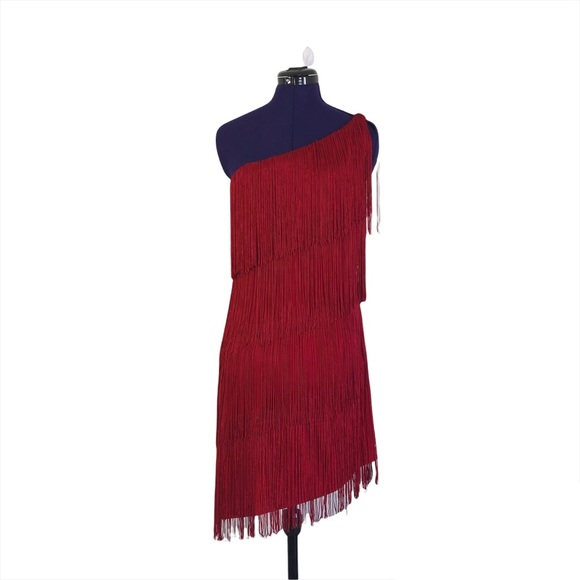 Boston Proper Dresses & Skirts - Muse for Boston Proper Red Fringe Flapper One Shoulder Dress